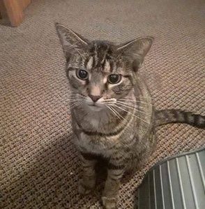 Meet your Posher, Tara